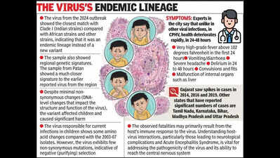Gujarat Biotechnology Research Centre (GBRC) carries out genomic sequencing of Chandipura virus, finds 293 local mutations