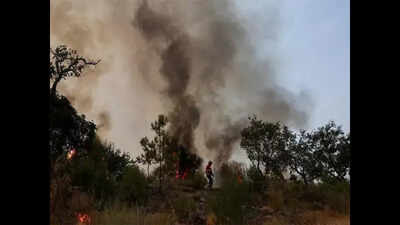 India submits its new climate action pledges to the UN body, flags the conditions to fulfill its promise