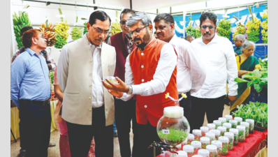 India's Banana Biodiversity Saved: New Gene Bank in Trichy Conserves Traditional Varieties