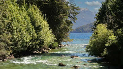 UK's battle to restore environment reaches the High Court