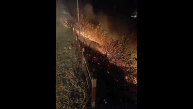 Raging forest fires cutting tourist arrivals by upto 20% in Kumaon, say hoteliers