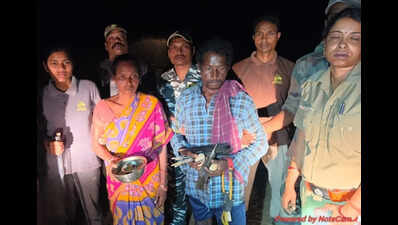 Couple cooking peahen meat nabbed in Debrigarh forest