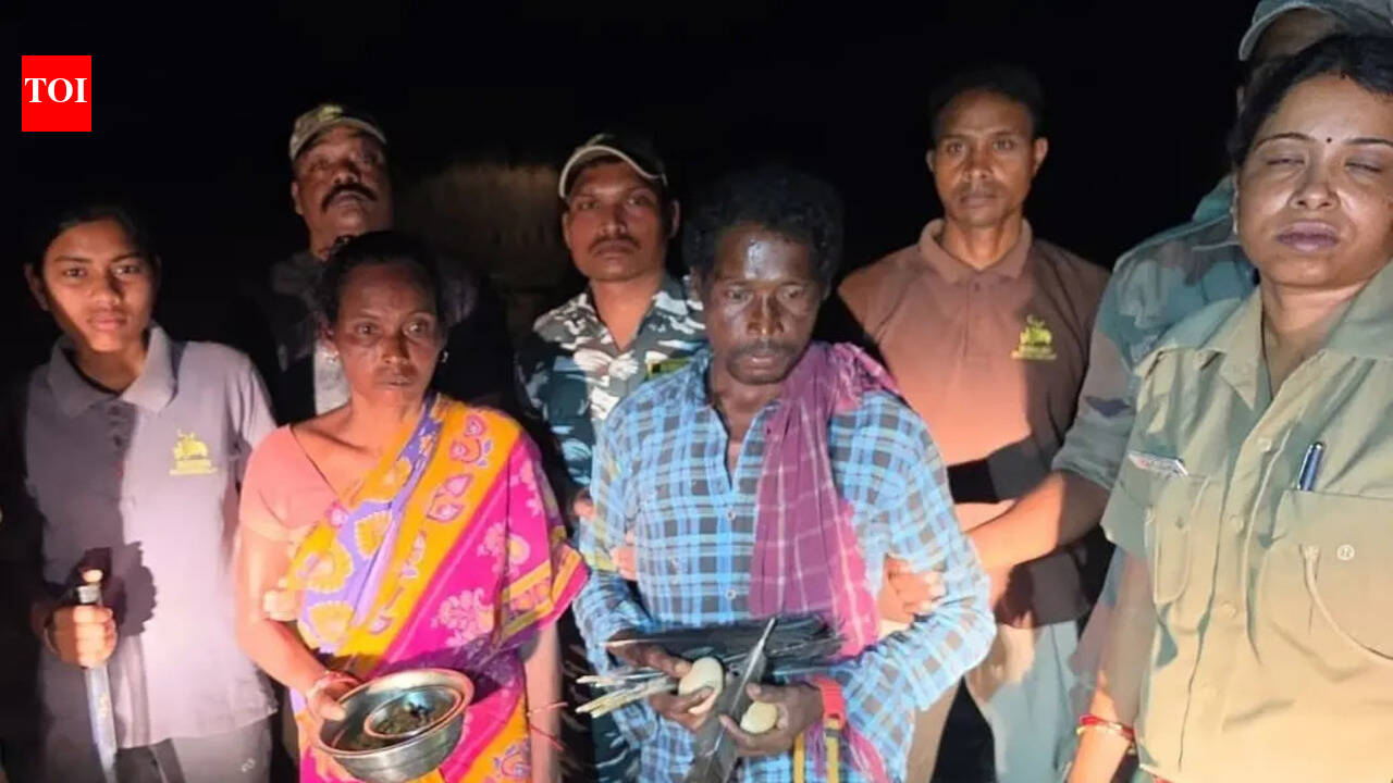 Couple cooking peahen meat nabbed in Debrigarh forest