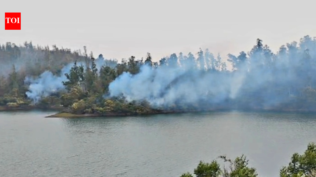 Nilgiris forest fire burns 5,000 acres; 500 personnel battle to prevent spread