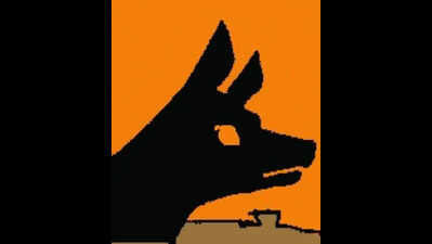 Tender coconut seller attacks barking stray dog in Bengaluru