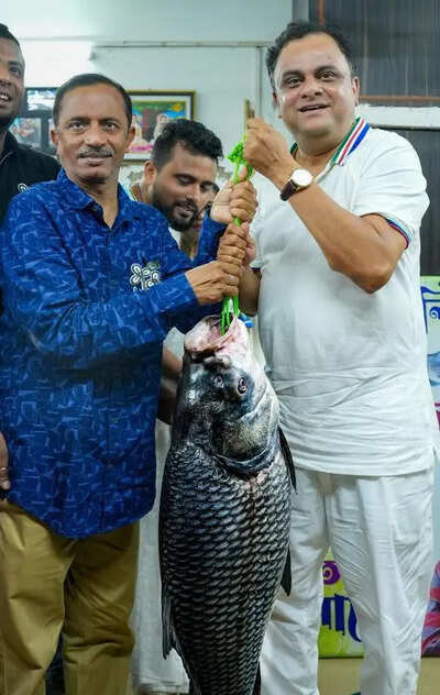 From 25kg fish to plastic EVM, candidates bring out all props and pull out all stops on last day of campaign