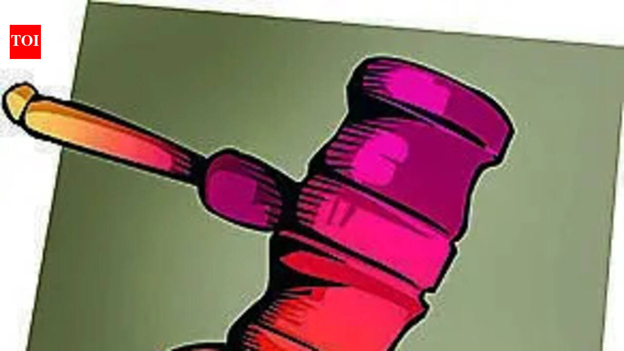 HC stays demolition in Bharatpur road-widening row