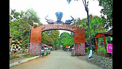 Sendra fest observed without hunting: DFO