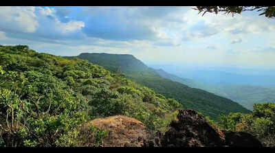 Maharashtra govt’s proposal to exclude 17 villages from Sahyadri Tiger Reserve plan raises alarm over threats to tiger corridor and environment