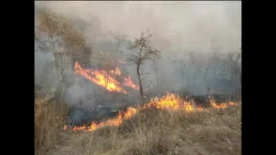 Odisha forest dept proposes motorcycle fire blowers to combat heat exhaustion