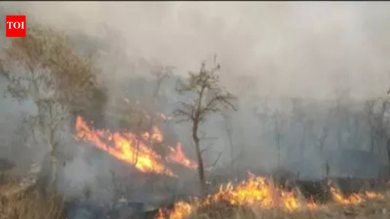 Odisha forest dept proposes motorcycle fire blowers to combat heat exhaustion