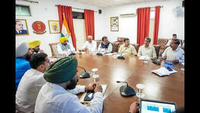 Mann OKs amphibious machine for desilting rivers, rescue ops amid floods