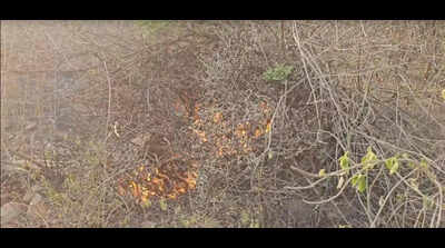 Mangar patch gutted last year up in flames again