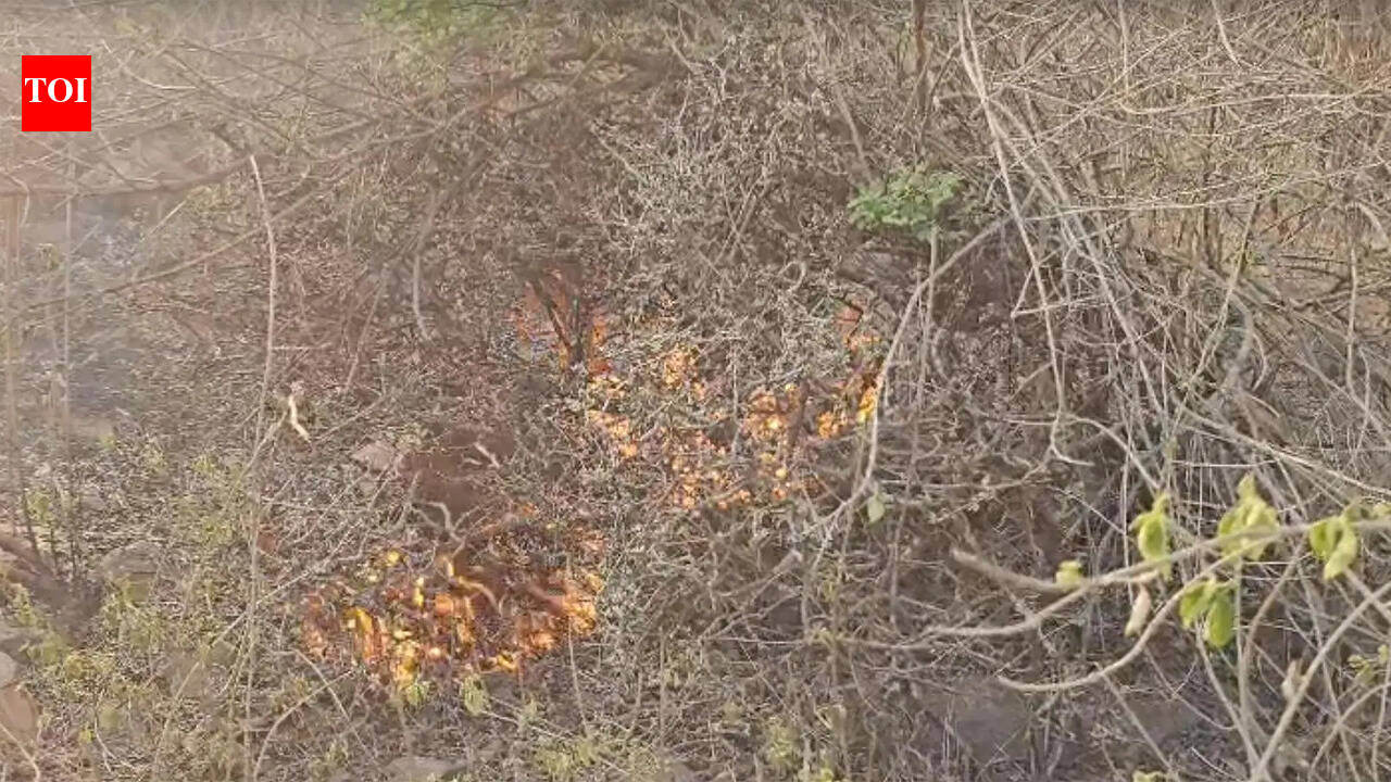 Mangar patch gutted last year up in flames again