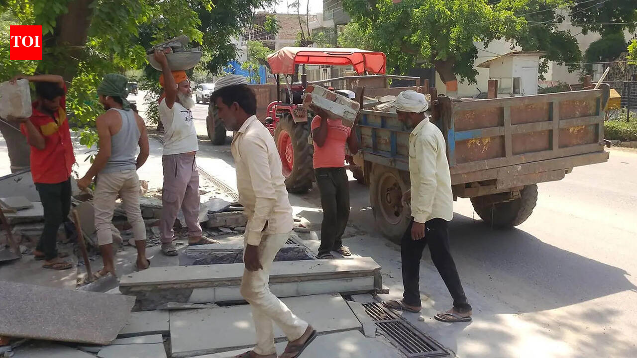 Debris lying on roads for days, DTCP begins cleanup in Palam Vihar