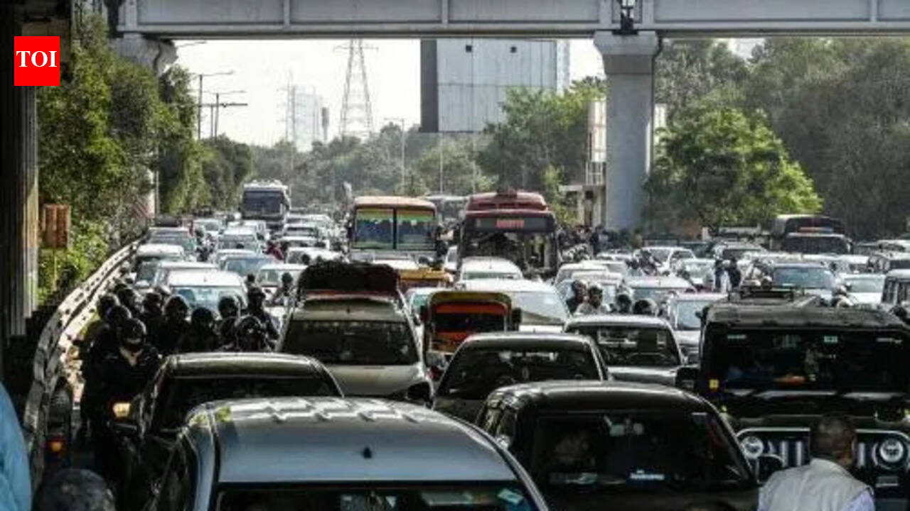 Chilla elevated road likely to be ready by June next year