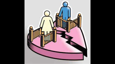 Women’s qualification no bar to deny her maintenance: HC