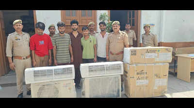 Gang of thieves to cool its heals in jail as cops bust the ‘summer job’