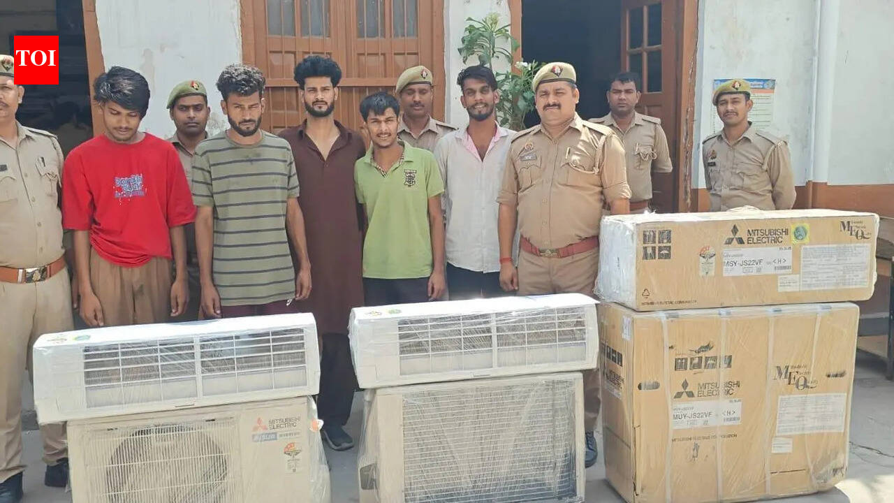 Gang of thieves to cool its heals in jail as cops bust the ‘summer job’