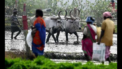 Farmers’ outfits demand immediate loan waiver, urge state not to wait for June 30 deadline