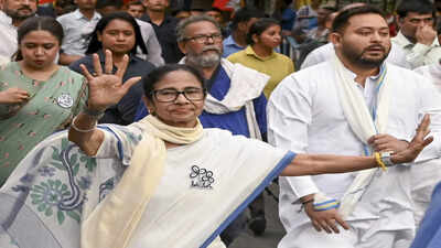 Didi’s clarion call: Queue up once more, teach BJP lesson
