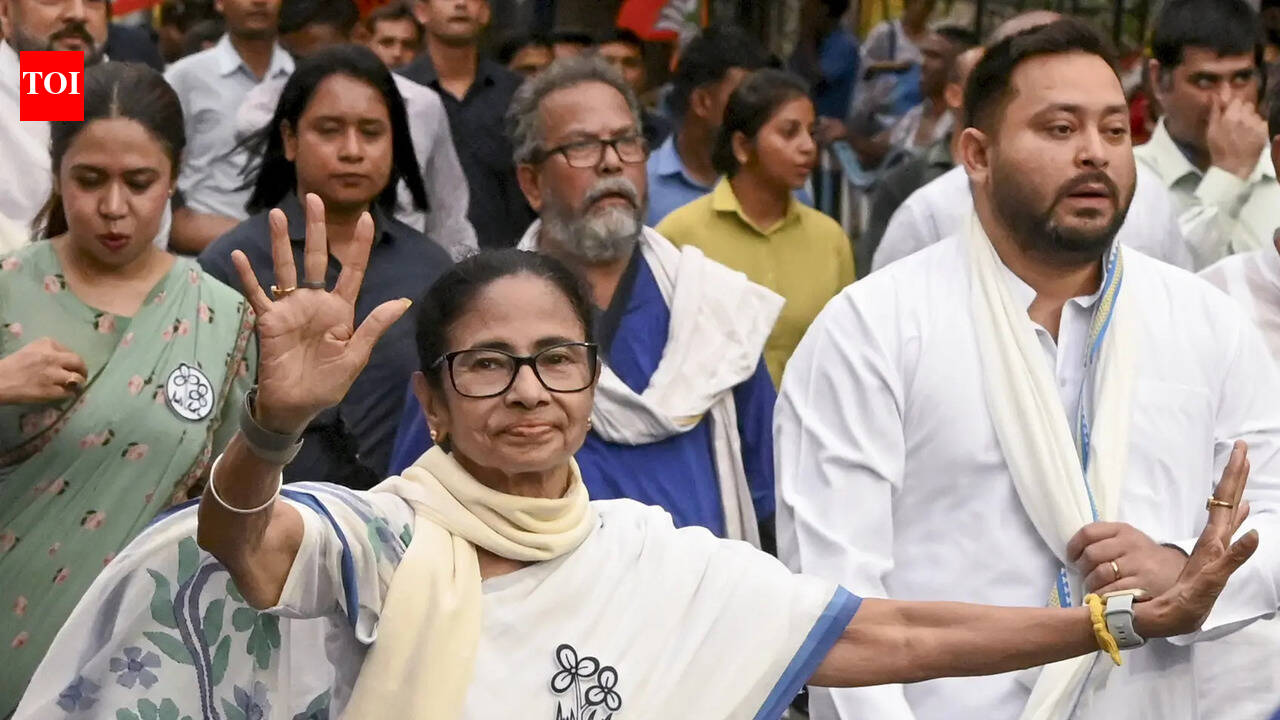 Didi’s clarion call: Queue up once more, teach BJP lesson