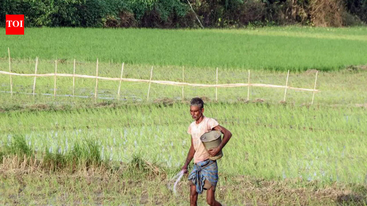 West Asia conflict may push fertiliser subsidy past Rs 2 lakh crore