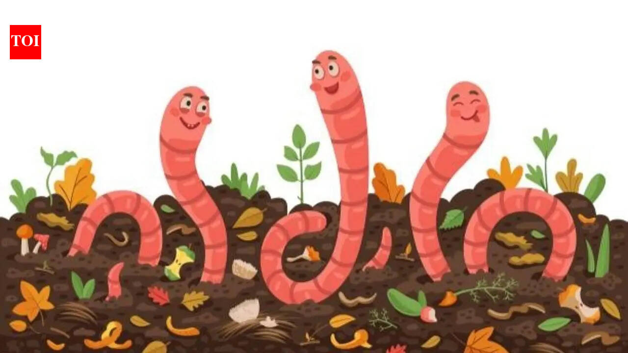 Earthworms: Why earthworms are essential for healthy gardening
