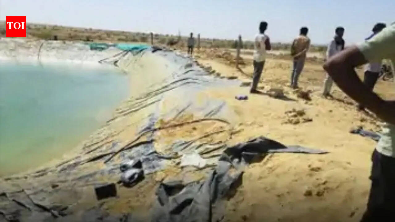 Two cousin teens drown in farm tank while bathing in Jaisalmer | Jaipur News - The Times of India