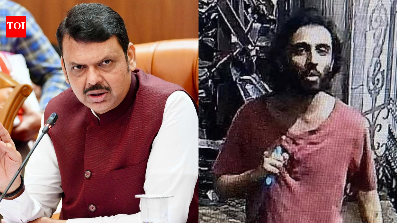 Maharashtra ISIS-inspired attack: 'Suspect had desire to attack Hindus,' CM Fadnavis says