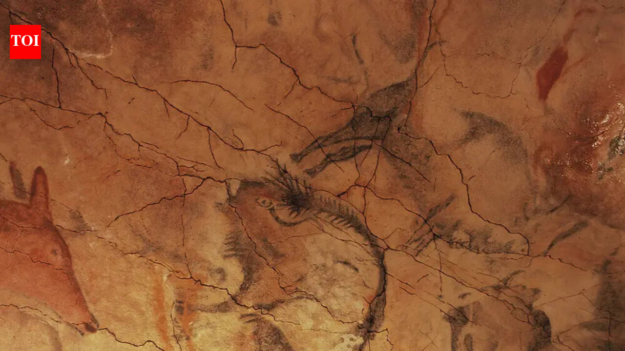 In 1868, a local hunter wandered through the hills and accidentally discovered a prehistoric cave hidden for thousands of years