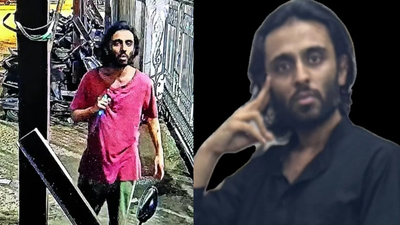 'Self-radicalised through books, internet': Man who stabbed security guards near Mumbai acted on jihad ideology, says CM Devendra Fadnavis