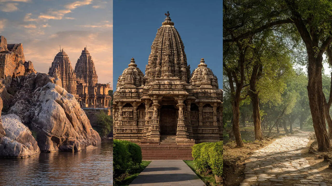 Discover The Perfect Blend Of History Wildlife And Culture In Madhya ...