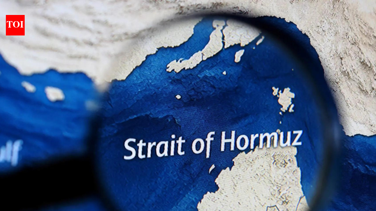 India needs to look at its national interests with regard to the Gulf of Hormuz