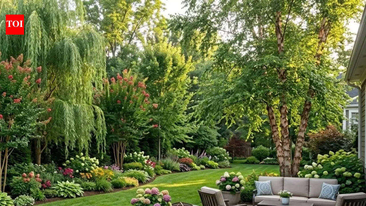 10 rapidly-growing trees for immediate privacy and long-lasting beauty