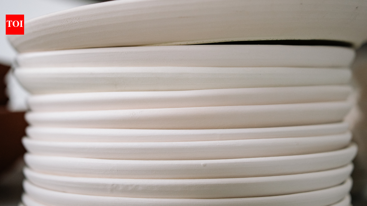 Here’s why restaurants warm plates before serving: Try it at home too