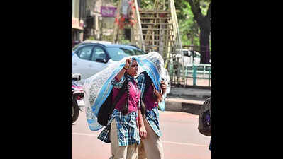 Govt authorizes collectors to declare school holidays amid heatwave