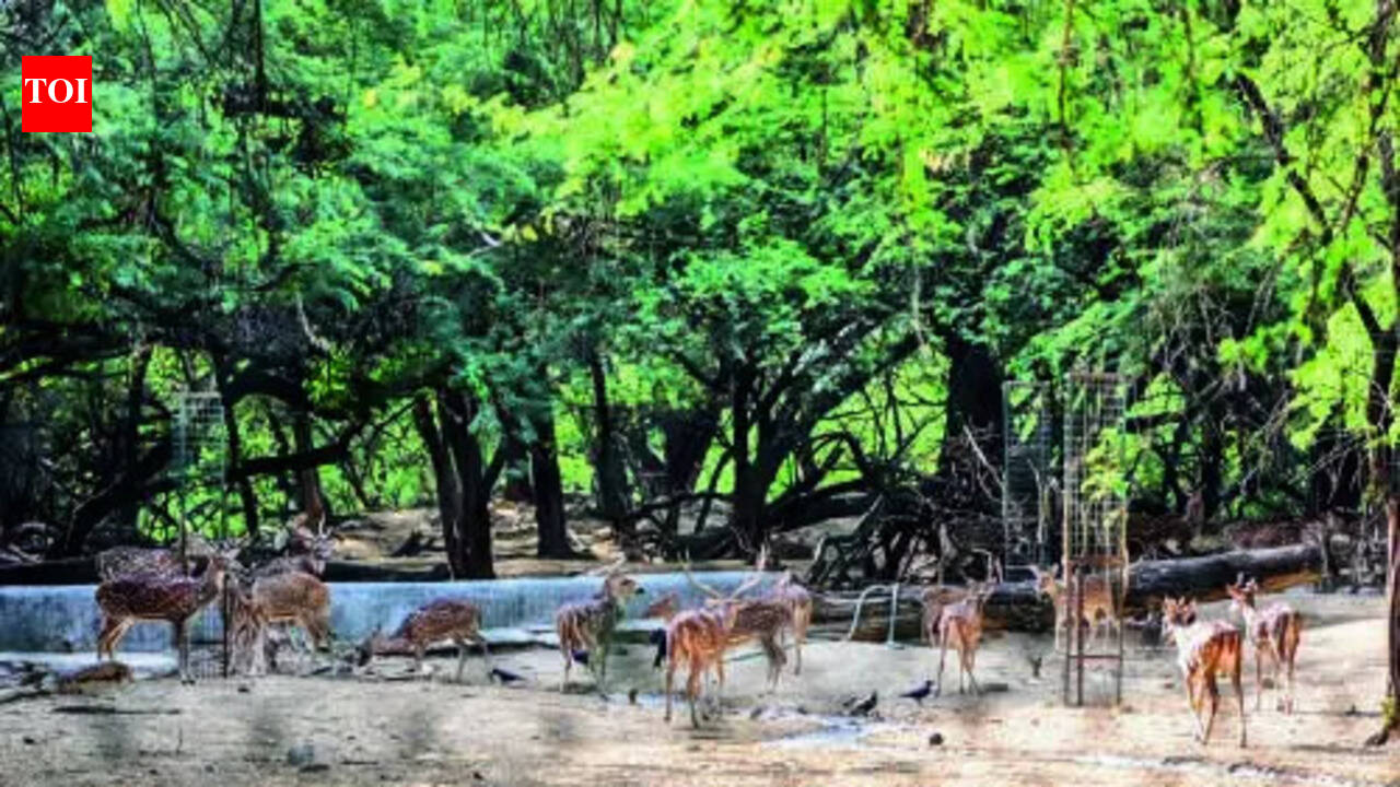 DDA leans on zoo authority for Hauz Khas deer