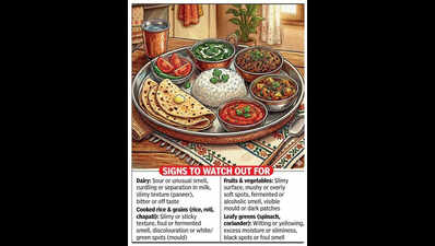 Bengaluru doctors warn of food spoilage as summer heat boils over