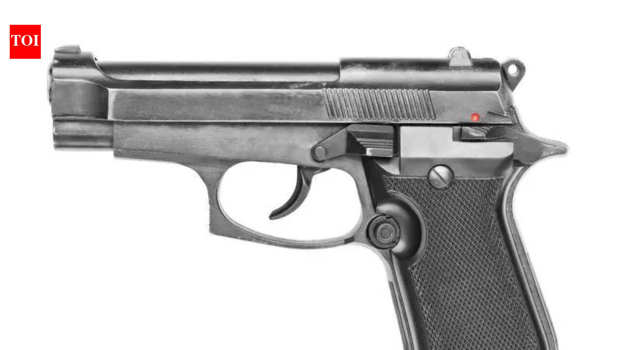 4-year-old girl dies in celebratory firing at Patna wedding