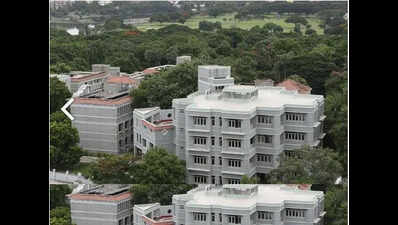 UG degree at economics institute opens doors to top international schools