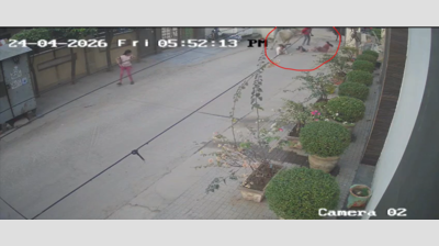 Ox tramples mother, her 2 daughters, chases them in Faridabad, CCTV captures attack