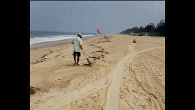 Tar ball deposits before rains raise alarm in Salcete