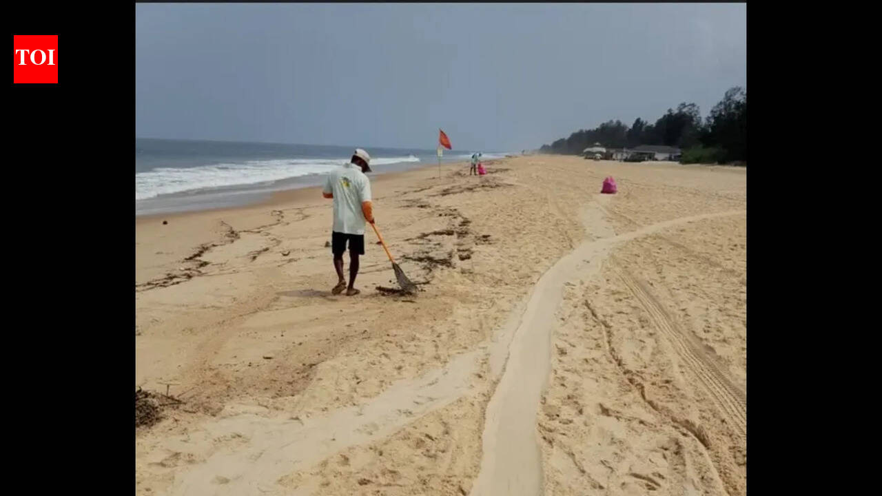 Tar ball deposits before rains raise alarm in Salcete