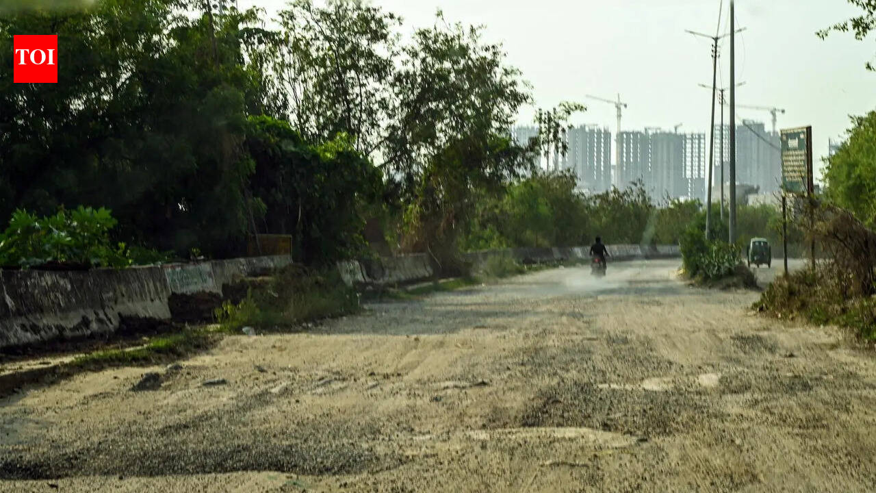 Yamuna Pushta road set for repairs to tackle airport traffic