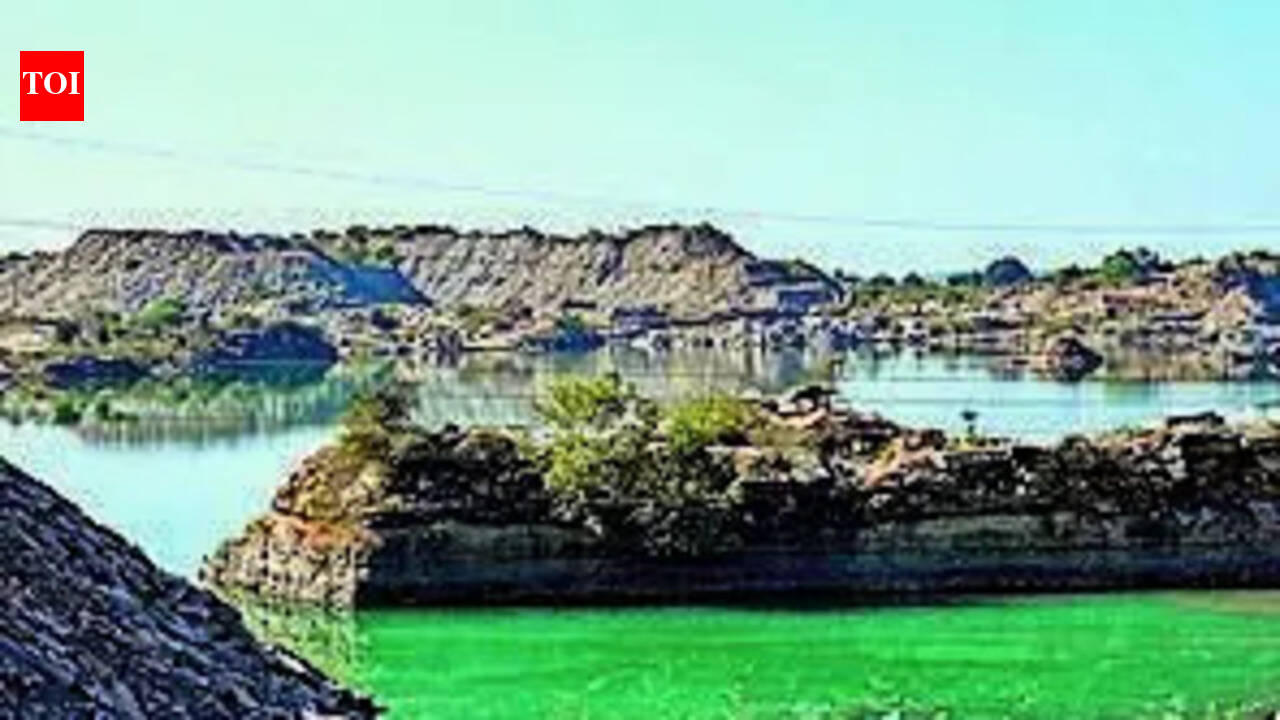 NGT seeks verifiable Raj forest data amid mining-linked discrepancy claims