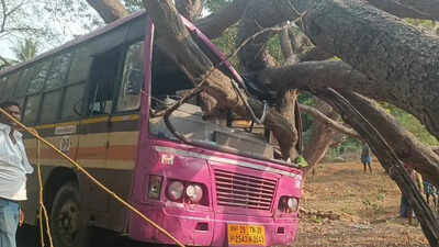 Passengers escape unhurt after tree falls on govt bus in Dharmapuri