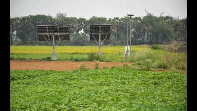 In Singur, agri roots & job dreams divide generations