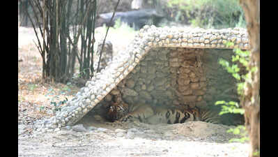 Lucknow, other parts register dip in temp