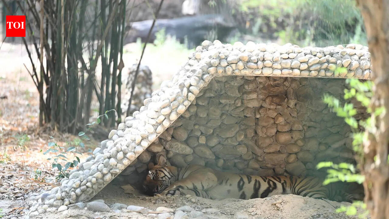 Lucknow, other parts register dip in temp